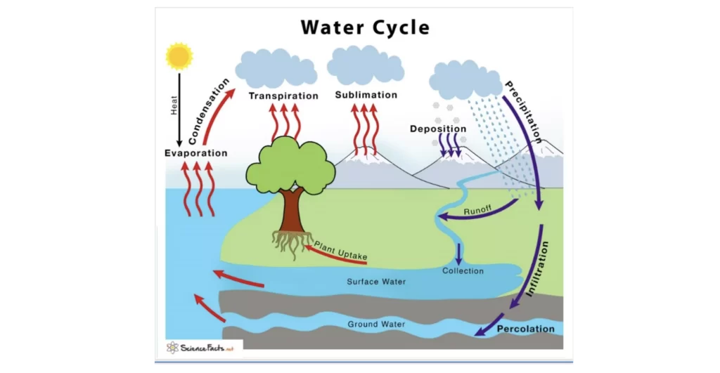 cycle de leau schema hydroclimat