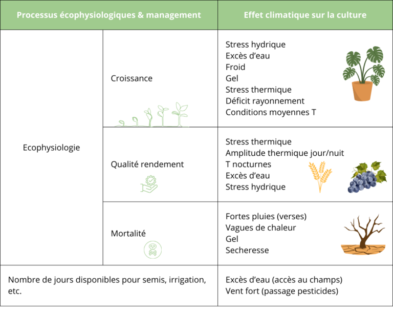 projection agr-climatiques